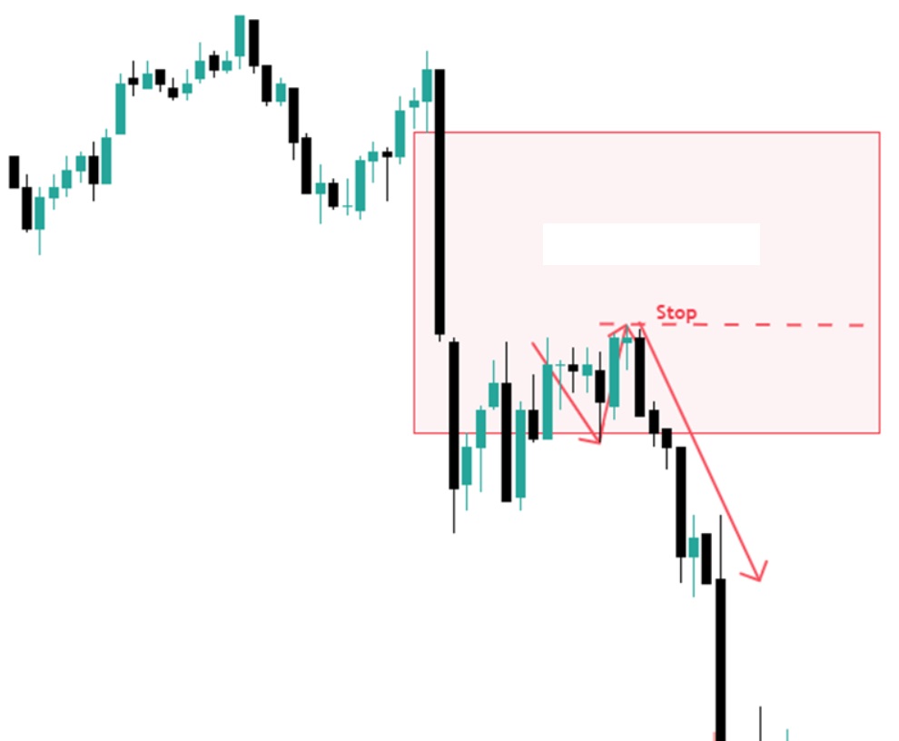 suport in trading