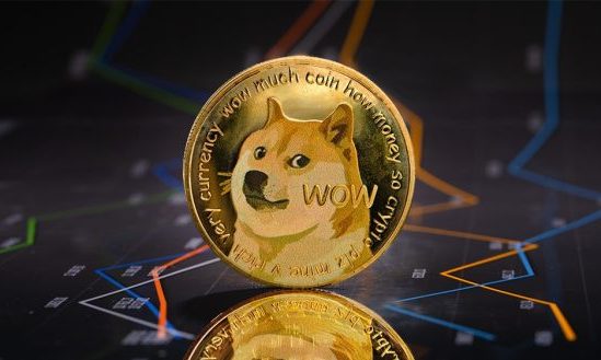 investitie dogecoin