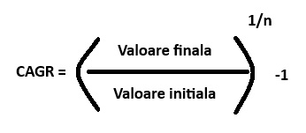 formula cagr