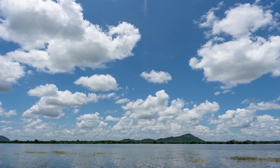 cum sa investești in apa