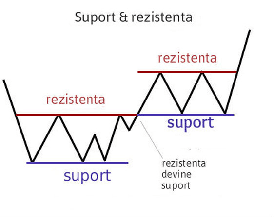 Suport si rezistenta