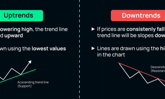 image 55 1024x405 1 e1730118115650