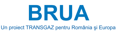 Acțiuni BRUA păreri