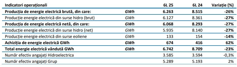 indicatori operationali hidroelectrica