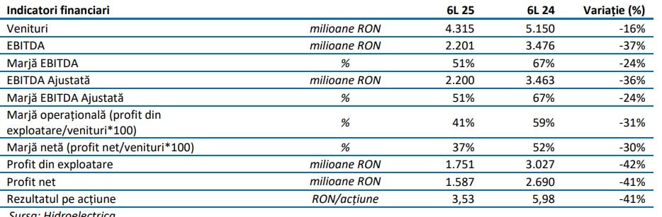 indicatori financiari hidroelectrica