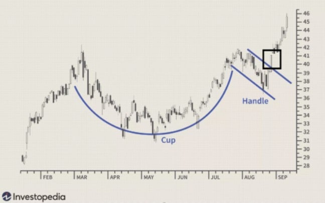 semal cup and handle