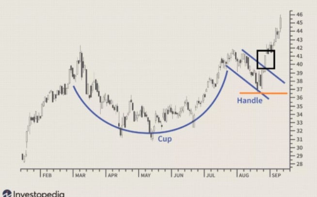 protectie cup and handle