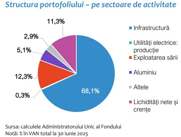 structura portofoliu sectoare activitate